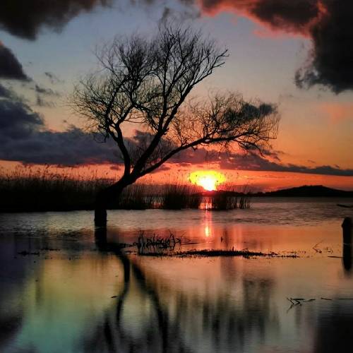 آرین طاهری دیشو هاتیده دنیای خیالم